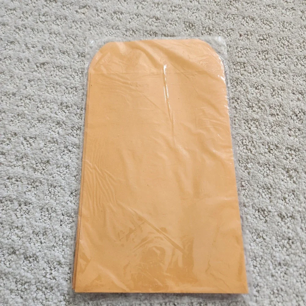 Paper World‎ 6 Count Peel and Seal Envelopes 6x9 Manila Kraft Paper USA Made